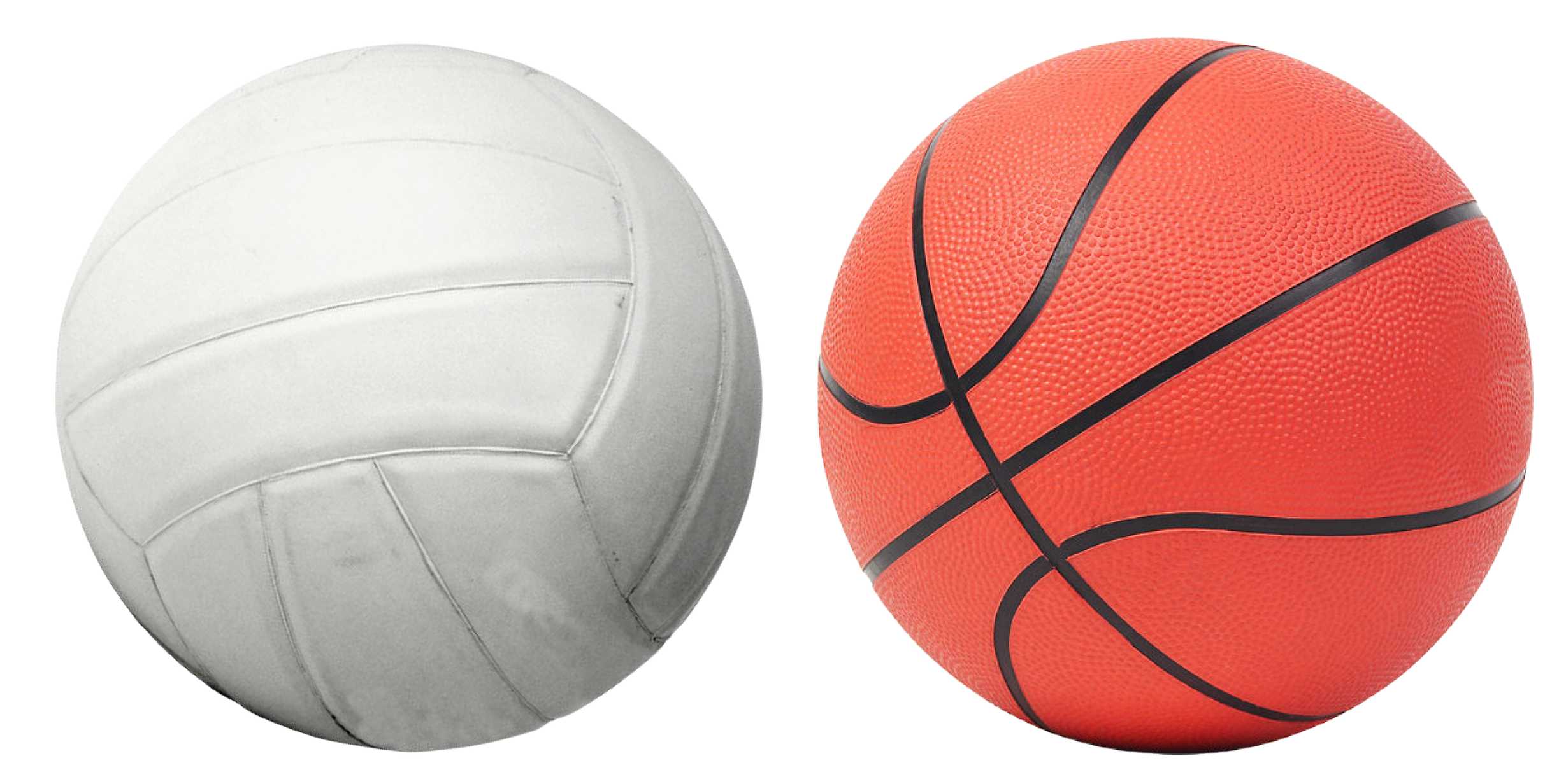 alles-volleyball-2844925