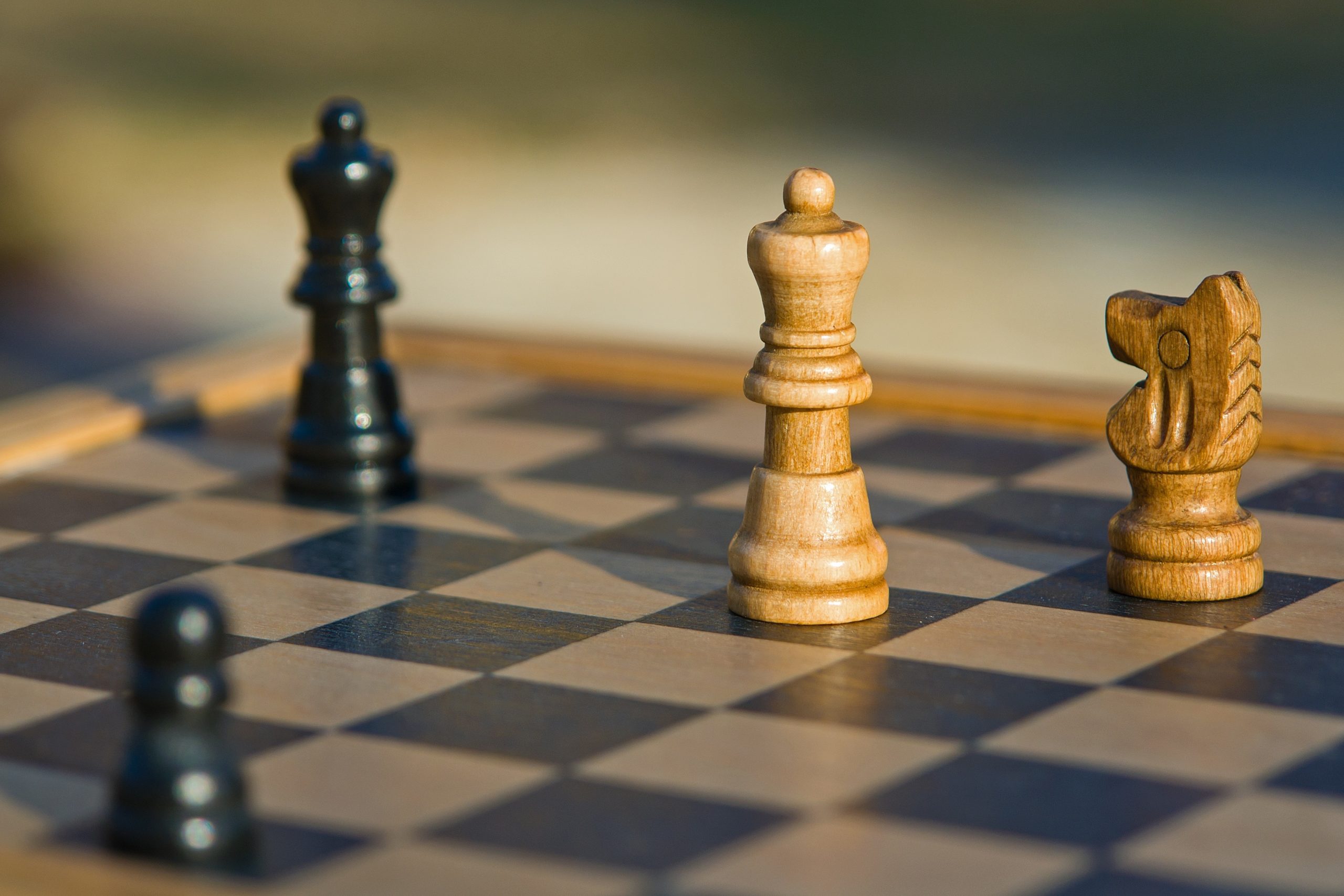 ha11ok-chess-1215079